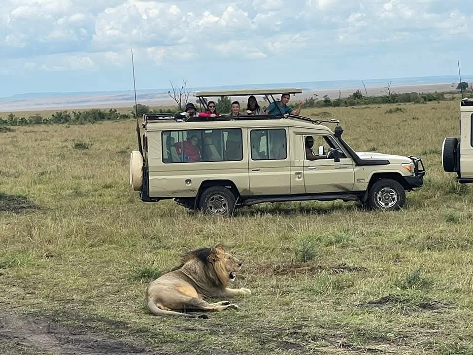 4 Days Masai Mara & Lake Nakuru Group Joining Safari | Kenya Tour